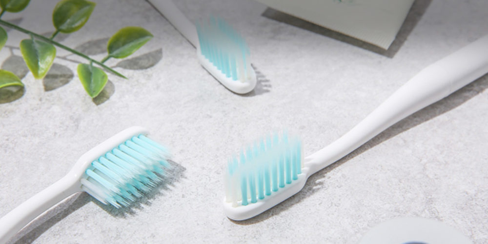 How To Disinfect Toothbrushes Toothbrush Stand Sangsi 